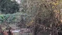 Sedikitnya tiga pabrik pemotongan batu hijau di Desa Bojong, Kecamatan Cikembar, Kabupaten Sukabumi, dibekukan sementara setelah diduga membuang limbah ke aliran Sungai Cibojong. (Liputan6.com/Fira Syahrin)