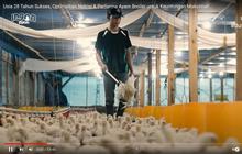 Raup Omzet Rp90 Juta Sekali Panen, Pemuda Ini Bagikan Resep Sukses Ternak Ayam Broiler
