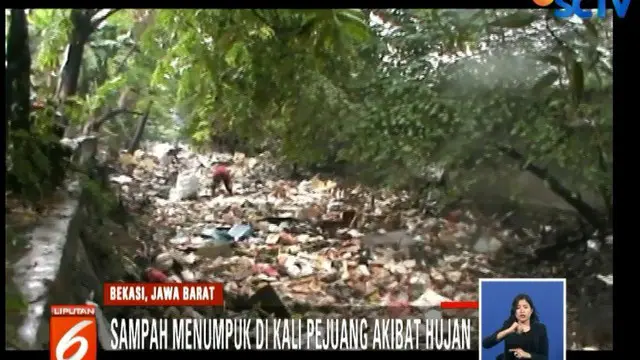 Sampah yang didominasi sampah rumah tangga ini terlihat memenuhi Kali Pejuang sepanjang 20 meter dengan ketebalan 50 sentimeter.