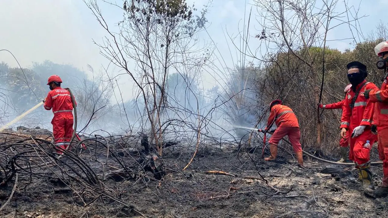 Indonesia Disalahkan karena Kabut Asap, Menteri LHK: Tidak Ada Asap Melintas ke Malaysia