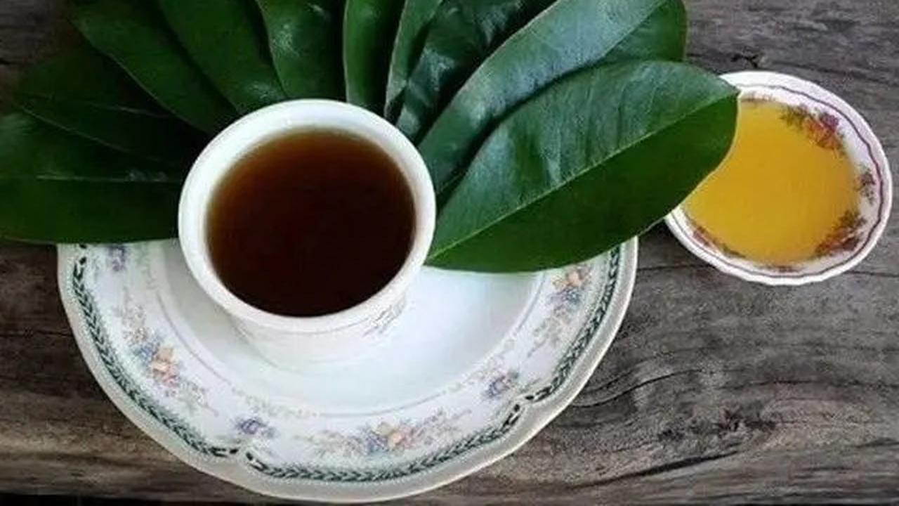 Khasiat Rebusan Daun Sirsak, Dari Menurunkan Asam Urat hingga Diabetes