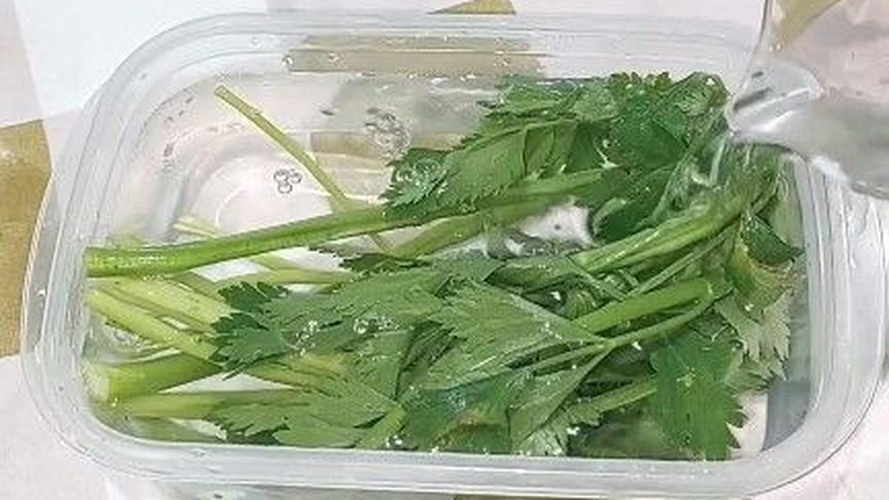 Rendam dengan Air