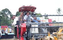 Petani OKU Selatan Panen Raya Jagung 30 Ton, Perkuat Ketahanan Pangan Nasional