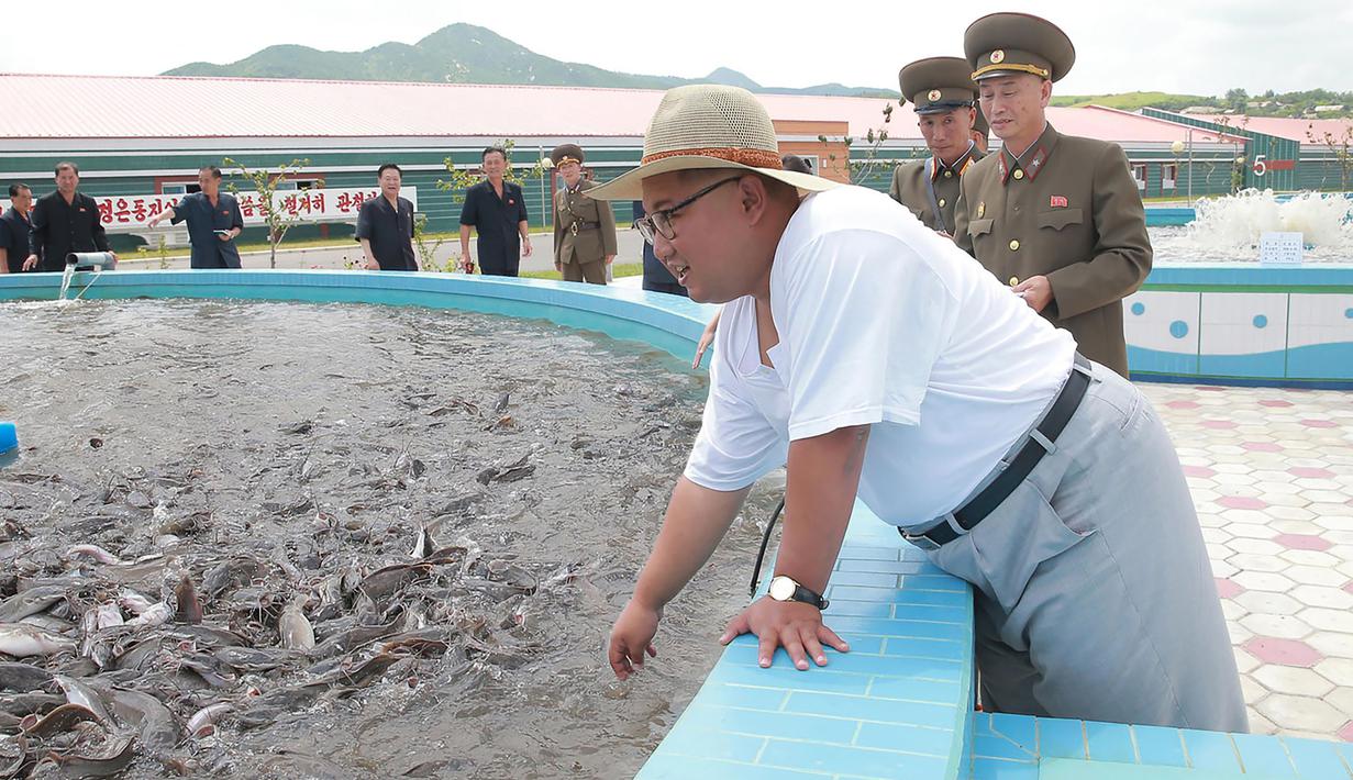 Gaya Pemimpin Korea Utara Kim Jong-un saat meninjau peternakan lele samchon di Provinsi Hwanghae Selatan, Korea Utara, Senin (6/8). Kim tampak santai dengan kaus putih tipis dan topi bundar. (KCNA VIA KNS/AFP)