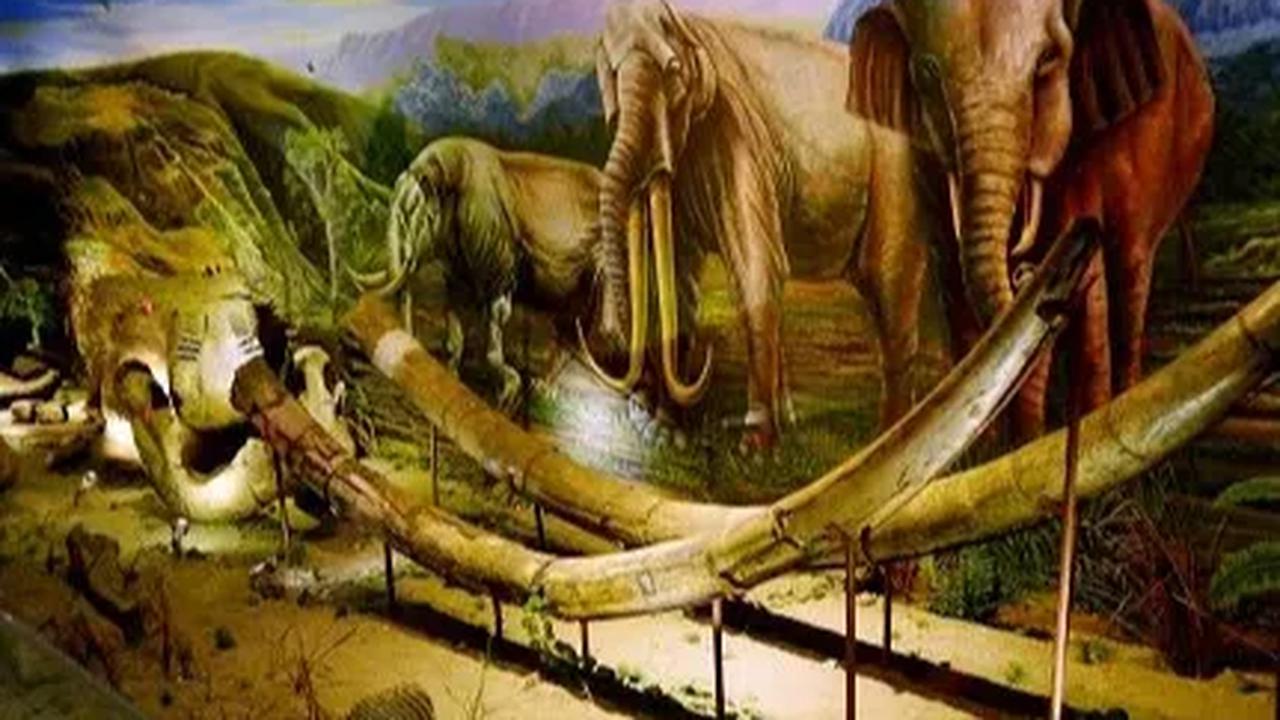 8. Situs Sangiran Memiliki Keanekaragaman Budaya