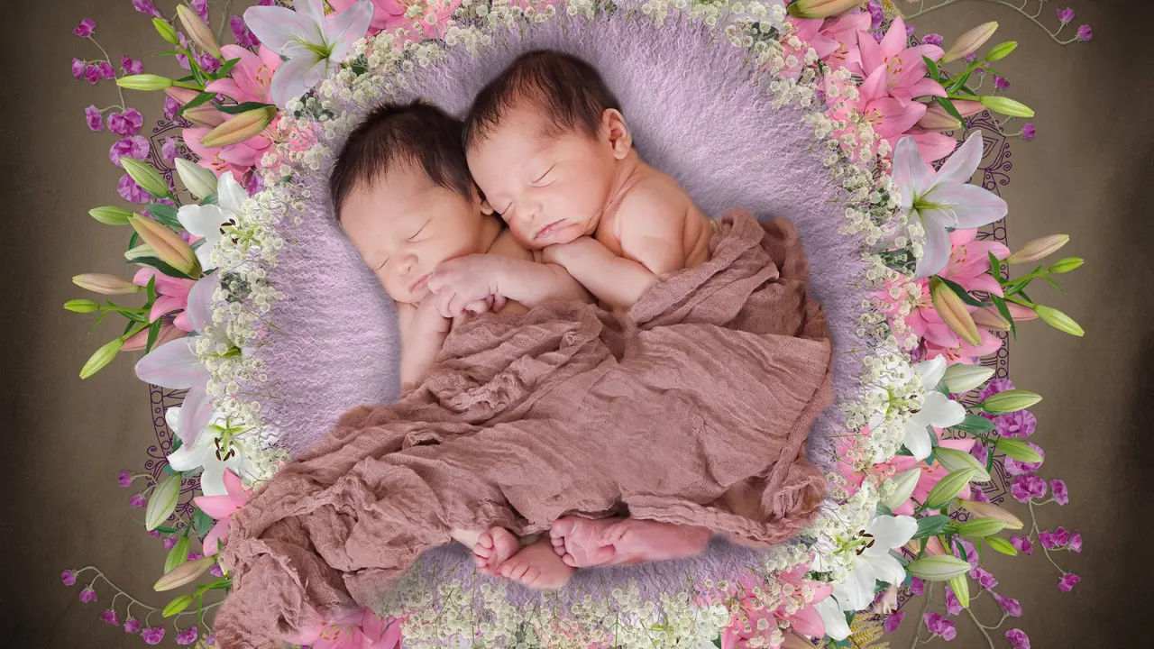 Ilustrasi bayi kembar
