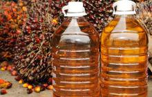 AS tolak CPO Indonesia karena kepentingan bisnis?