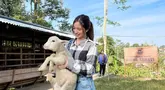Wonosobo, Jawa Tengah, memang menjadi salah satu tempat untuk menikmati liburan di alam. Di sini bisa menikmati indahnya pegunungan dan danau yang indah. Bahkan ada pula peternakan domba yang lucu sehingga bikin gemas. (Liputan6.com/IG/@danniasalsabilla)