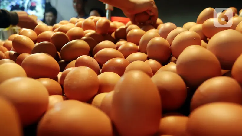 Permintaan Telur Ayam di Jakarta Mulai Naik