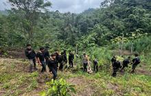 Polda Sumsel Bongkar Ladang Ganja 20 Hektare di Empat Lawang, 220 Kg Disita dan Bandar Utama Ditangkap