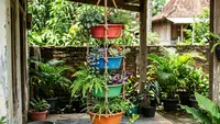 6 Ide Pot Bertingkat dari Baskom Bekas untuk Taman Rumah yang Kreatif dan Hemat Tempat