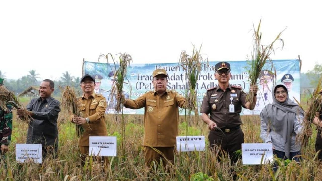 Fakta Unik, Gubernur Babel Gelar Panen Raya Padi: Langkah Strategis Wujudkan Kemandirian Pangan Babel
