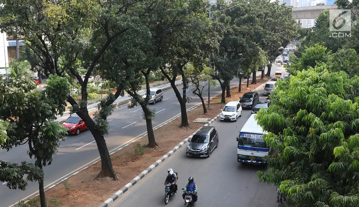 Pohon-pohon berdiri di Jalan Sudirman, Jakarta, Selasa (19/9). Terkait pembangunan trotoar, Sekda DKI Saefullah mengatakan ribuan pohon akan dipindahkan ke lokasi yang merupakan aset Pemprov DKI, seperti Taman BMW. (Liputan6.com/Immanuel Antonius)