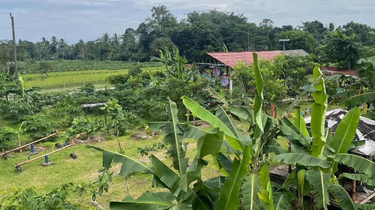 Juara 1 Desa BRIlian DIY Jateng pada 2022