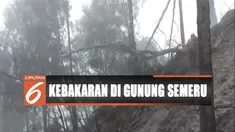 62 personil TNBTS, BPBD, TNI, Polri, dan rewalan, hingga kini masih terus melakukan pendinginan untuk mencegah kebakaran membesar kembali.
