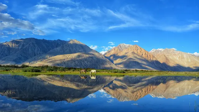 Leh, Ladakh
