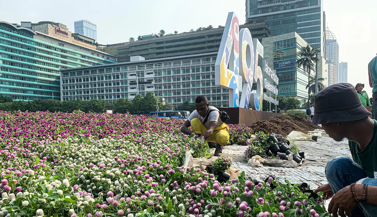 Pekerja dan petugas Dinas Pertamanan dan Kehutanan (Tamhut) DKI Jakarta melalukan persiapan dekorasi Jakarta Hajatan 495 di Bundaran HI, Jakarta Pusat, Senin (20/6/2022). Dekorasi berupa logo Jakarta Hajatan 495 dan peletakan bunga warna-warni di pinggir kolam Bundaran HI untuk memeriahkan HUT ke-495 Kota Jakarta. (Liputan6.com/Faizal Fanani)
