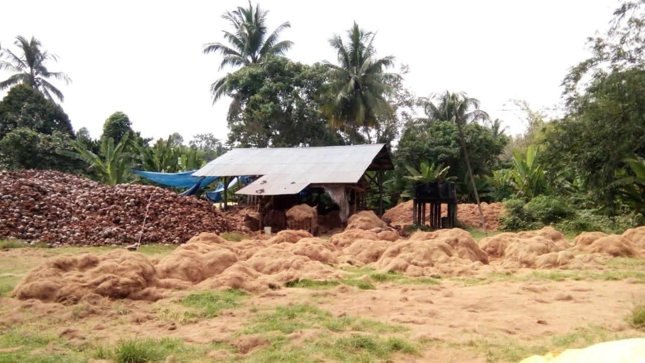 Dukung Pengurangan Energi Fosil, PLN EPI Kembangkan Bio-CNG Berbasis Limbah Kelapa Sawit