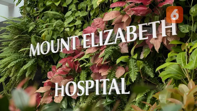 Mount Elizabeth Hospital