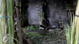 Pengrajin menganyam Daun Ketupat di Pasar Palmerah, Jakarta, Rabu (23/9/2015). Jelang Hari Raya Idul Adha 1436 H Permintaan Daun Ketupat Meningkat dengan harga penjualan 1 ikat (Isi 10 daun ketupat) seharga sepuluh ribu rupiah. (Liputan6.com/Johan Tallo)