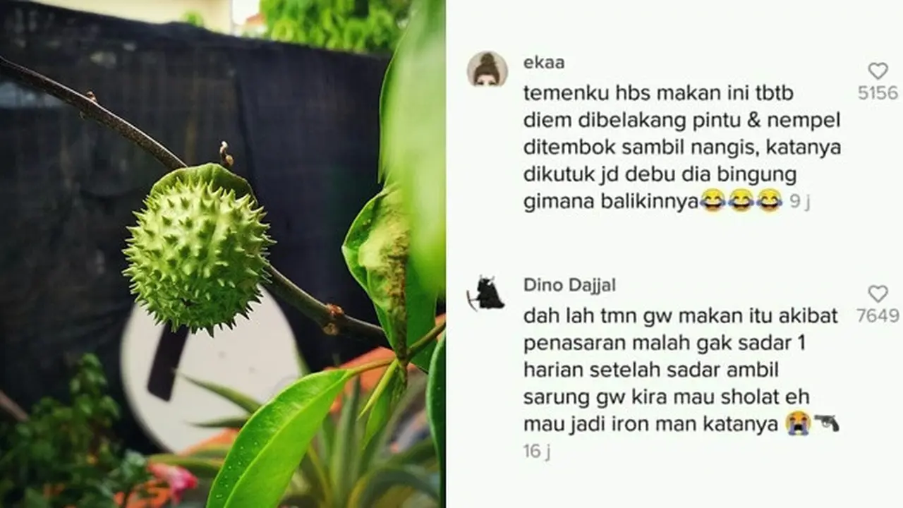 6 Curhatan Netizen Usai Makan Buah Kecubung, Jangan Ditiru