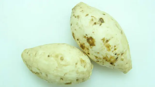  Gembili Pengganti Nasi