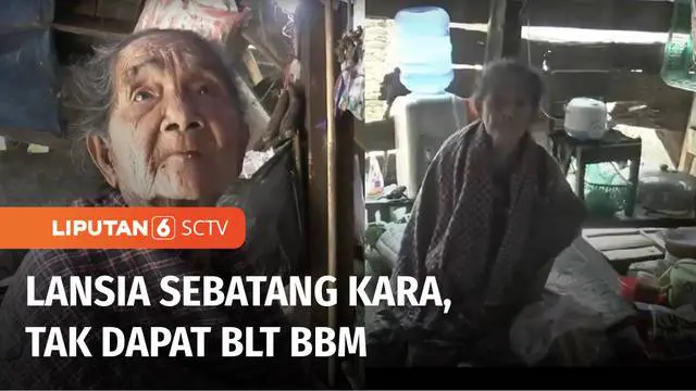 Siti Afizah, nenek berusia 92 tahun di Polewali Mandar, tinggal sebatang kara di sebuah gubuk, luput dari daftar penerima BLT BBM. Warga dan tetangga mengaku sudah mengupayakan agar sang nenek bisa menerima bantuan tunai.
