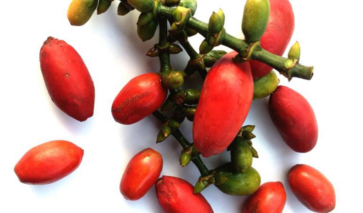 <b>Gunakan Beberapa Bumbu</b><br>