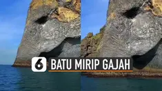 Gajah adalah hewan yang memiliki belalai. Tapi bagaimana jika ada batu yang mirip gajah. Menurut kabar batu yang mirip gajah ini berada di Pulau Zou.