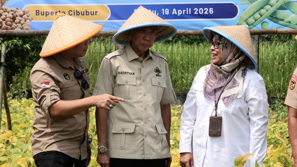 HKTI Tegaskan Swasembada Beras Bukan Wacana, Stok dan Produksi Meningkat Signifikan