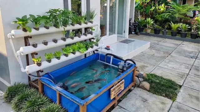 Menghubungkan Kolam dengan Sistem Filtrasi