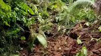 Longsoran Tanah menutup total jalan  menuju kawah Ijen (Istimewa)