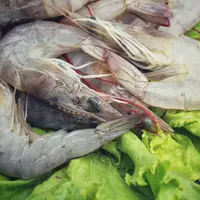 Ilustrasi udang segar. (c) luknaja/Depositphotos.com