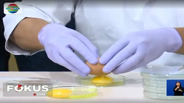 Plastik yang disebut membungkus telur palsu sebenarnya merupakan membran atau selaput kulit yang menyelimuti isi telur.