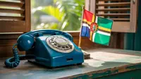 +1-767 Negara Mana? Ini Kode Telepon Dominika dan Fakta Lengkapnya