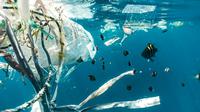 Everything you need to know about water pollution. (Photo: Naja Bertolt Jensen/Unsplash)