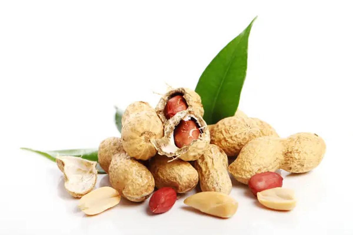 Tips Ampuh Goreng Kacang Tanah Anti Gosong, Hasilnya Gurih dan Matang Merata