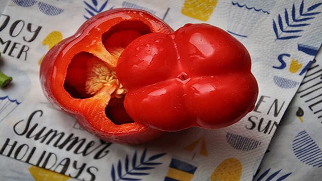 Ilustrasi paprika merah