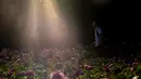Seorang pria berjalan di Taman Bunga Ratu Mary di Regent's Park di London pada 25 Juni 2020. Inggris pada Kamis (25/6) mengalami hari terpanasnya tahun ini hingga sejauh ini, dengan suhu mencapai 33,3 derajat Celsius di Bandara Heathrow, menurut badan meteorologi. (Xinhua/Han Yan)