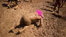 Seorang peserta tersungkur didalam lumpur saat mengikuti Mud Day di Tel Aviv, Israel (24/3). Kegiatan ini kemudian menyebar ke Spanyol, Belgia, Swiss, dan kini Israel. (AP Photo/Oded Balilty)