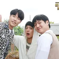 Reply 1988 (Asianwiki)