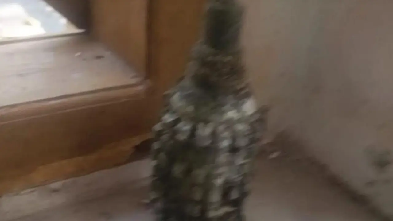 penemuan granat