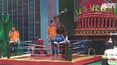 Pertunjukan tinju orangutan yang diadakan di kebun binatang Thailand mendapat reaksi protes dari sejumlah eleman masyarakat. 