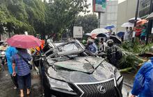 Jadi Korban Pohon Tumbang, Keluarga Mantan Direktur PT Danareksa Harry Nugroho Pengemudi Lexus Terima Kejadian Sebagai Musibah