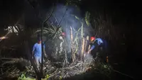 Kebakaran Lahan Picu Kepanikan Warga Sukabumi