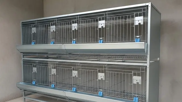 Model Kandang Ayam Galvanis