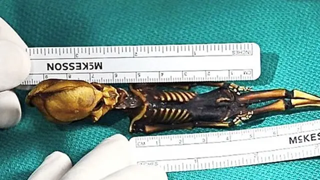 Terkuak! Misteri Tengkorak Alien 15 Cm di Chile