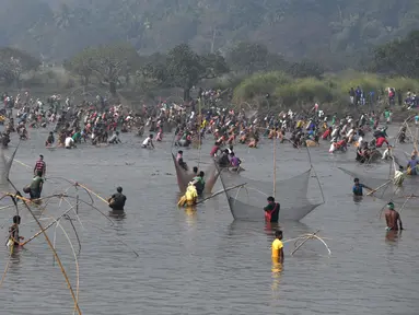 Ratusan warga ikut ambil bagian dalam acara menjaring ikan pada perayaan Festival Bhogali Bihu di Danau Goroimari, sekitar 50 km dari Guwahati di India, Sabtu (13/1). Festival ini merupakan panen ikan secara massal. (AFP PHOTO / Biju Boro)