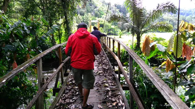 Hutan Adat Marena