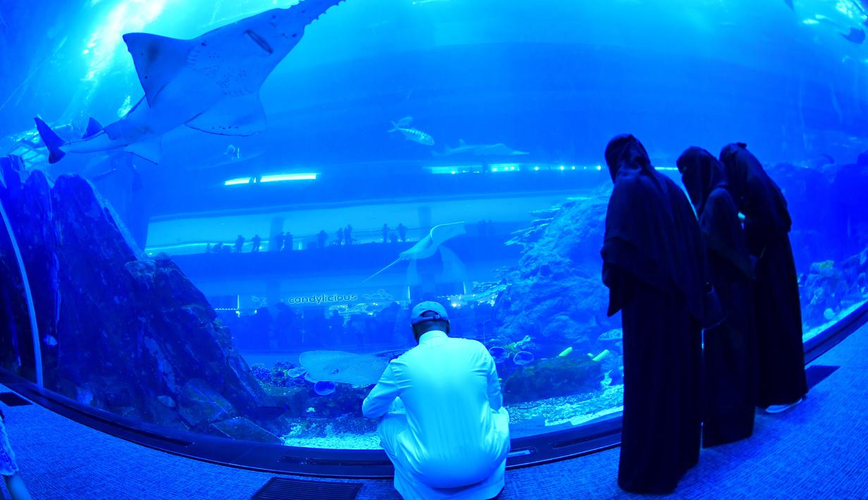 Wisatawan mengunjungi akuarium Dubai Mall di pusat kota Dubai, Uni Emirat Arab pada Rabu (2/1). Akuarium Dubai ini menawarkan pemandangan penuh ikan, dengan hiu macan dan pari yang berenang bersamaan. (GIUSEPPE CACACE / AFP)